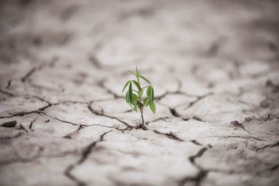 Harnessing Geospatial Intelligence for Disaster Response and Resilience