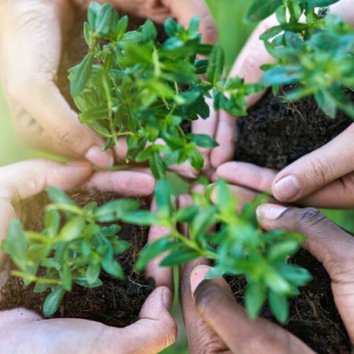 Natural Resource Conservation and Climate Risk Assessment with Geospatial Intelligence