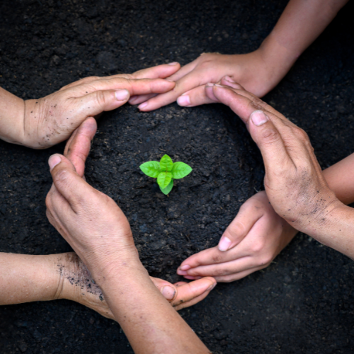 Conservation Conservation